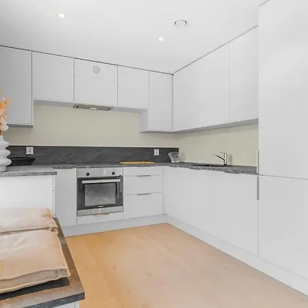 New! Huge Modern Apartment! Fit For Two Families! 公寓